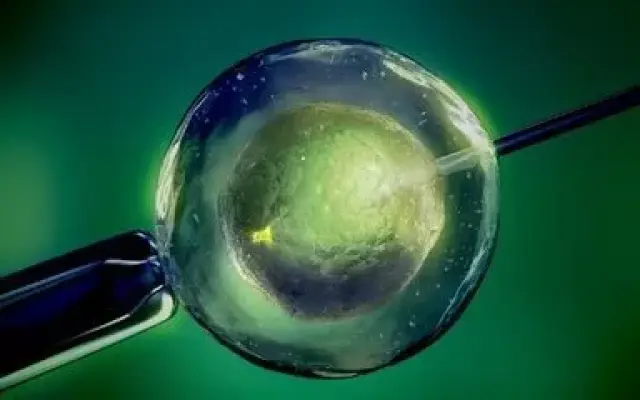 陈教授